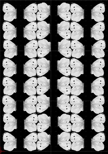 Screenshot 2024-12-07 at 10.45.38 PM.png